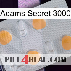 Adams Secret 3000 24